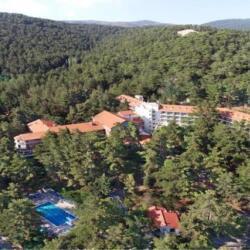 Corona Travel And Tours Forest Park Hotel Platres